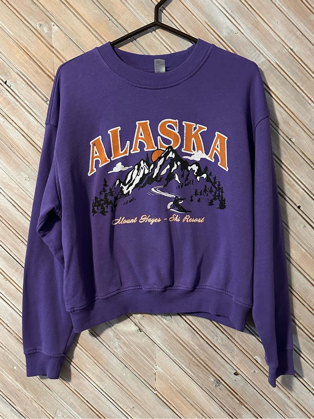 Divided Purple Alaska Graphic Crew Sweatshirt Ski Resort Pullover Crewneck